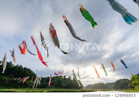 Carp streamers at Tachibana Fureai Park, Katori City, Chiba Prefecture Carp streamers at Tachibana Fureai Park, Katori City, Chiba Prefecture 129998853