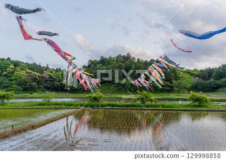 Carp streamers at Tachibana Fureai Park, Katori City, Chiba Prefecture 129998858