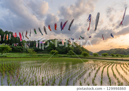 Carp streamers and sunset at Tachibana Fureai Park, Katori City, Chiba Prefecture 129998860