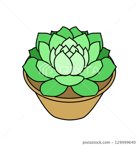 Green leaf succulent Green leaf succulent 129999640