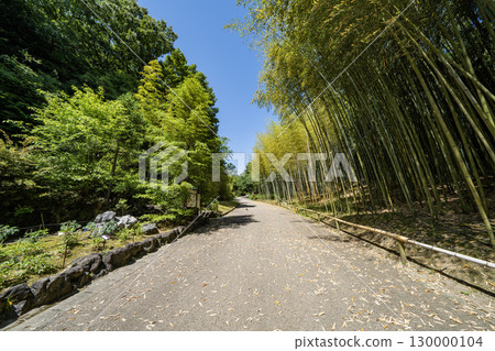 東山植物園景觀 130000104
