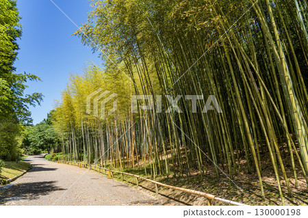 View of Higashiyama Botanical Garden 130000198