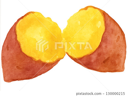 Freshly baked golden sweet potato watercolor illustration with transparent background PNG 130000215