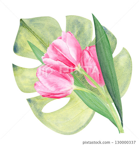 Tulips bouquet, monstera leaf watercolor composition isolated on white. Hand painted pink flowers. High quality clip art perfect for mother's day, women's day cards, posters, perfume, packaging, decor 130000337