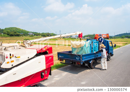 水稻收割場景：卸下稻粒 130000374