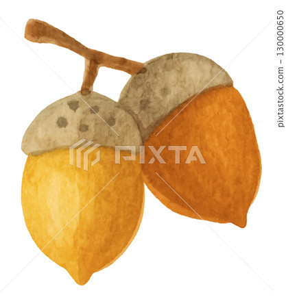 結合葉子和果實的秋天水彩插圖素材 130000650