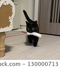 Isn't this cat toy too big? Black cat wants to play with it 130000713