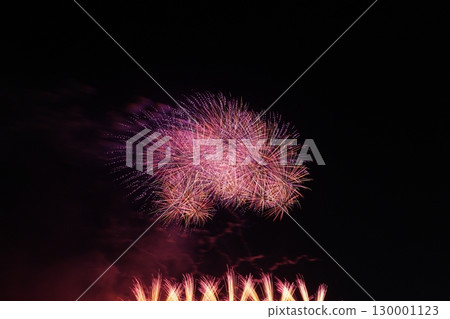 Fireworks blooming in the summer night sky 130001123