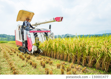 收穫風景 收穫風景 130001477