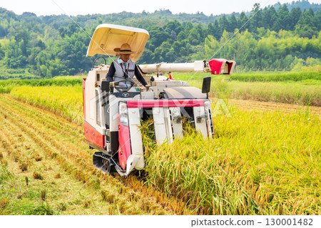 Harvest scenery 130001482