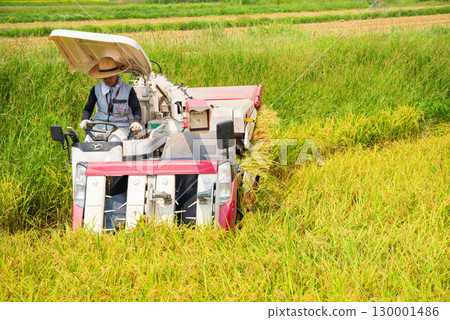 收穫風景 130001486