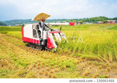 Harvest scenery 130001488