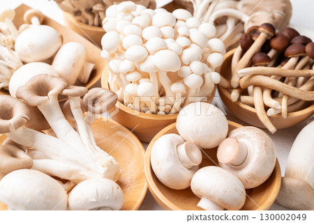 Fresh Champignon, Yanagi, Shimeji, oyster and King oyster mushroom Fresh Champignon, Yanagi, Shimeji, oyster and King oyster mushroom 130002049