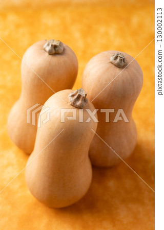 Fresh butternut squash pumpkin on orange background, Vegetable in Autumn season, Food ingredient Fresh butternut squash pumpkin on orange background, Vegetable in Autumn season, Food ingredient 130002113