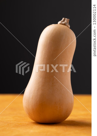 Fresh butternut squash pumpkin on orange and black background, Vegetable in Autumn season Fresh butternut squash pumpkin on orange and black background, Vegetable in Autumn season 130002114