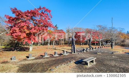 Old Usui Pass Observation Deck (Autumn) Old Usui Pass Observation Deck (Autumn) 130002305