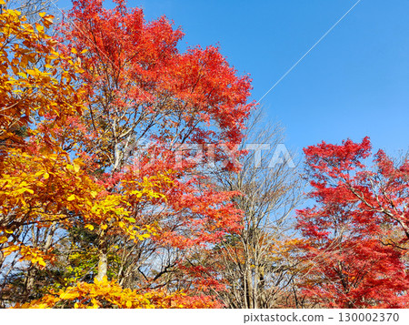 Autumn leaves of the former Usui pass mountain view Autumn leaves of the former Usui pass mountain view 130002370