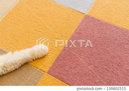 A minimalist photo of a colorful mat and a cat's paws A minimalist photo of a colorful mat and a cat's paws 130002515