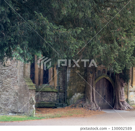 Ancient Church Entrance Surrounded by Lush Foliage 130002589