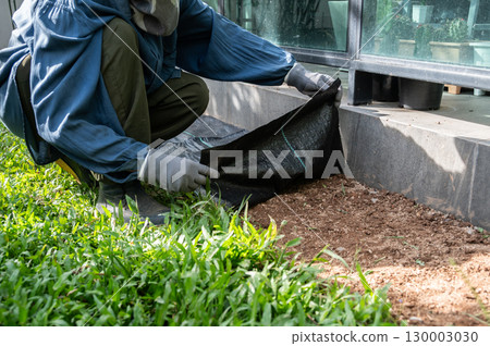 Someone using black plastic sheeting for preventing weed growth by covered soil. It works by blocking sunlight, which is essential for plant growth, and essentially suffocating weeds. Someone using black plastic sheeting for preventing weed growth by covered soil. It works by blocking sunlight, which is essential for plant growth, and essentially suffocating weeds. 130003030