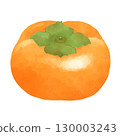 Persimmon illustration 130003243