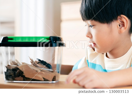 一個男孩正在觀察一隻鍬形蟲 130003513