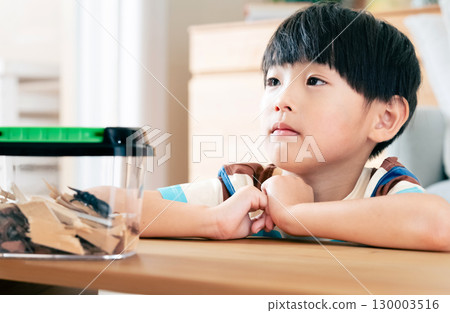 一個男孩正在觀察一隻鍬形蟲 130003516
