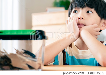 A boy observing a stag beetle 130003518
