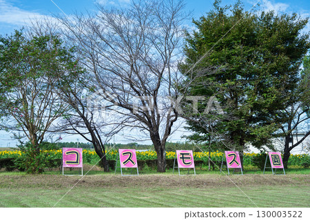 廣場風景與招牌 - 路邊車站極紫 廣場風景與招牌 - 路邊車站極紫 130003522