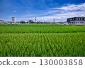 Rural landscape near harvest 130003858