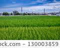 Rural landscape near harvest 130003859