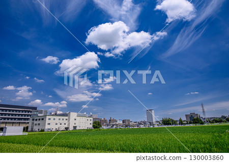 Summer sky with clouds and rural scenery 130003860