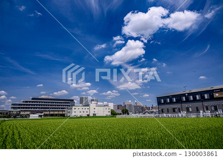 Summer sky with clouds and rural scenery Summer sky with clouds and rural scenery 130003861
