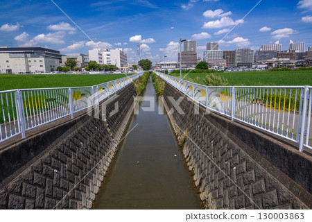 A rural landscape with an irrigation canal, blue sky and clouds 130003863