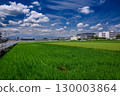 Summer sky with clouds and rural scenery 130003864