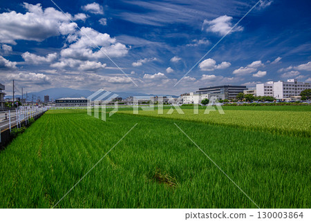 Summer sky with clouds and rural scenery 130003864