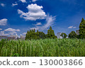 Cityscape with blue sky and clouds 130003866