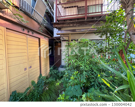 A vacant house and its garden covered in weeds 130004042