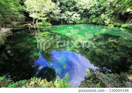 伊鶴原弁天池（栃木縣） 130004396