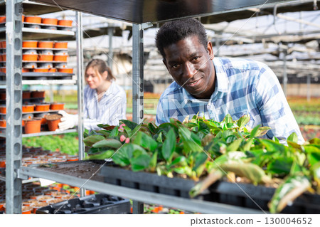Gardener taking care of plants in greenhouse Gardener taking care of plants in greenhouse 130004652