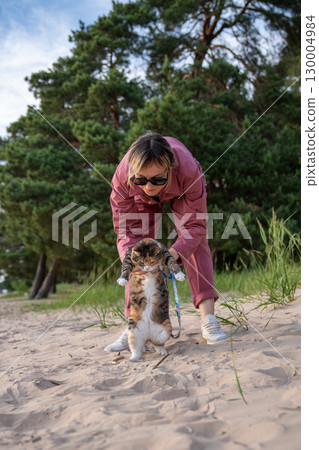 Cat taking first hesitant steps on beach on initial outdoor walk. Woman supports feline on hind legs 130004984