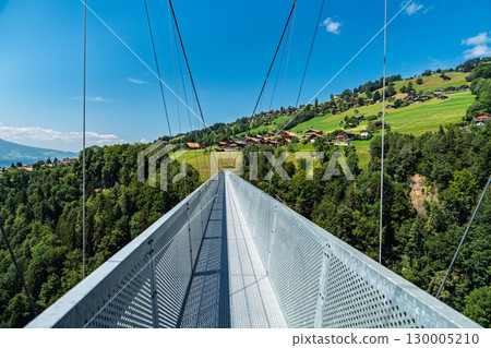 Stunning View from a Suspension Bridge over a Green Swiss Valley in Switzerland Stunning View from a Suspension Bridge over a Green Swiss Valley in Switzerland 130005210