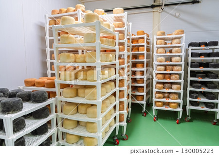 Cheese Wheels Aging on Shelves in a Temperature Controlled Room for Optimal Maturation Cheese Wheels Aging on Shelves in a Temperature Controlled Room for Optimal Maturation 130005223