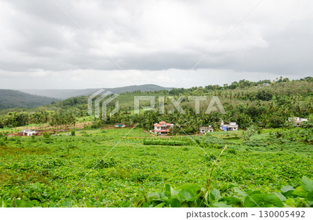 Pictureque view of the hills and valleys of Vilakkannur in Kerala, India 130005492