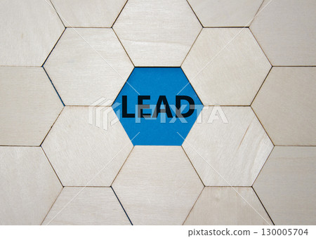 Lead symbol. Concept word Lead on wooden comb puzzle. Beautiful blue background. Business and Lead concept. Copy space. 130005704