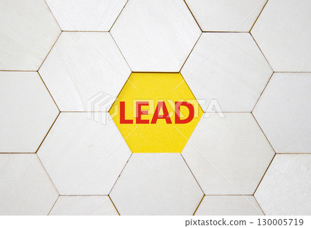 Lead symbol. Concept word Lead on wooden comb puzzle. Beautiful yellow background. Business and Lead concept. Copy space. Lead symbol. Concept word Lead on wooden comb puzzle. Beautiful yellow background. Business and Lead concept. Copy space. 130005719