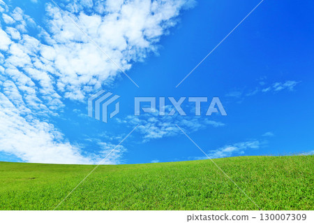 Autumn blue sky and beautiful grassland scenery Autumn blue sky and beautiful grassland scenery 130007309