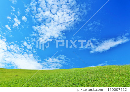 秋天的藍天和美麗的草原風光 130007312