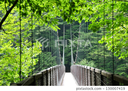 Suspension Bridge of Recollection_02 130007419