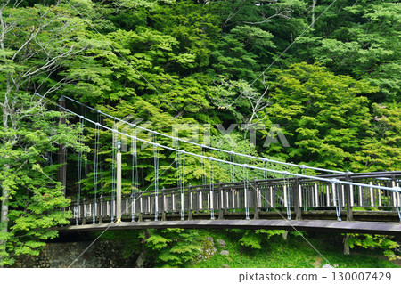 紅色吊橋_05 130007429